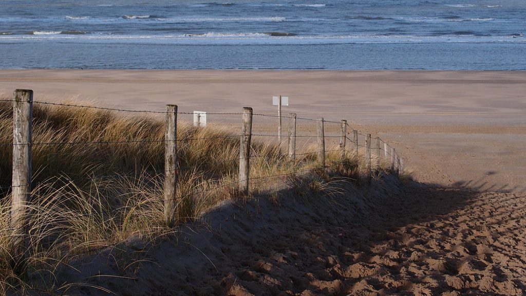 Bungalowpark Sollasi Noordwijkerhout met hond op vakantie